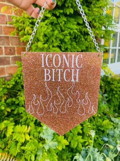 Iconic Bitch Era Glitter Acrylic Pennant